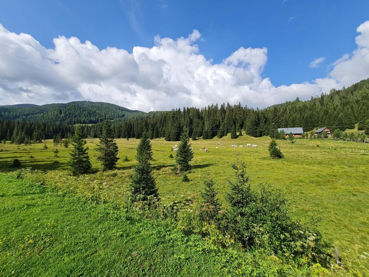 Apartmenthaus Almwiese Flattnitz 외부 사진